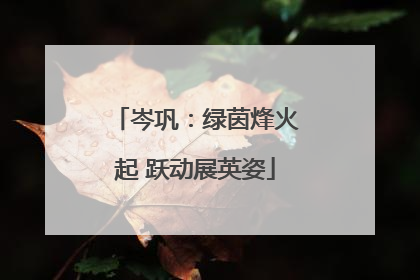 岑巩：绿茵烽火起 跃动展英姿